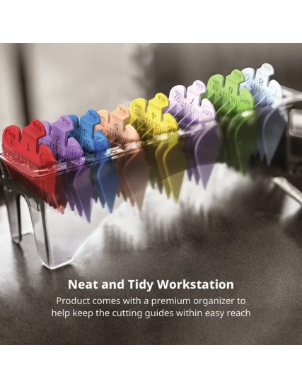 Comb Organizer With Clear Combs Set
